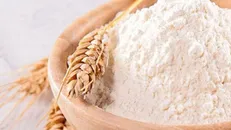 توزیع بیش از ۸۰۰ هزار تن آرد میان روستائیان