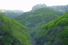 نخستین نشست تخصصی گروه میراث طبیعی برگزار می‌شود