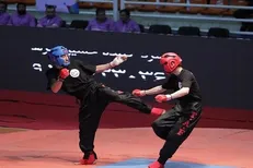 عضو هیات رئیسه کنگ فو تهران مشخص شد
