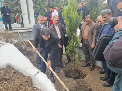 استاندار همدان: فضای سبز در طرح&zwnj;های شهری لحاظ می&zwnj;شود
