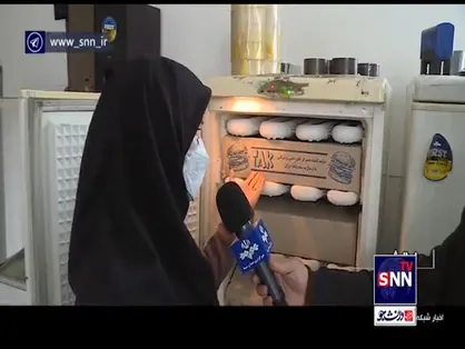 ساخت و عرضه همبرگر برند با نان خشک و اسکلت مرغ در جنوب پایتخت!
