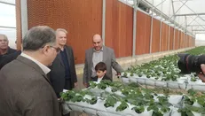 ارزش افزوده در بخش کشاورزی با تولید مدرن