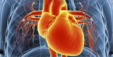 خطر دو تا چهار برابری ابتلا به مشکلات قلبی و عروقی در بیماران دیابتی