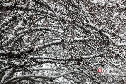 سوز سرما ادامه دارد/ پیش&zwnj;بینی بارش برای مناطق مختلف ایران