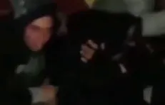 حیوانات انسان نما!