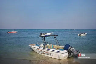 صثفصل