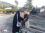 کبوتران رحمت