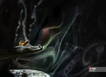234234234