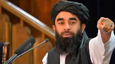 طالبان بازداشت شهروند آمریکایی افغانستانی را تکذیب کرد