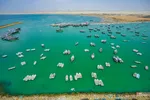 بریس