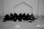 دبب