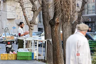 زنجیره انتقال