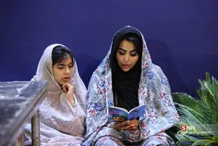 دبب