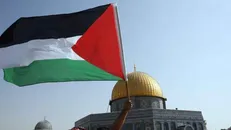 چه دولت‌هایی فلسطین را به عنوان یک کشور به رسمیت می‌شناسند؟