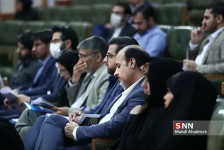 سلی