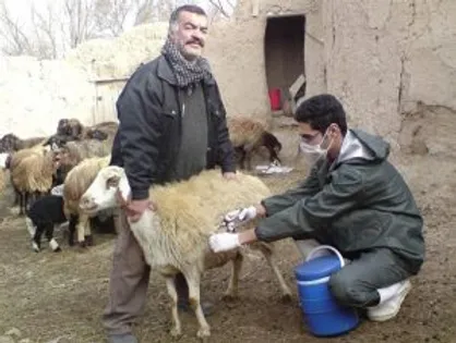 سال آینده واکسن تب ۳ روزه را صادر می&zwnj;کنیم