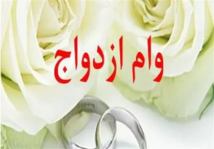 مجلس به تسهیل پرداخت وام&zwnj;های خرد ورود می&zwnj;کند