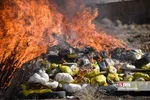 امحاء ۱۸ تن مواد مخدر در شیراز