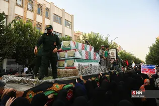 دبب