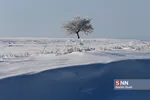 برف1