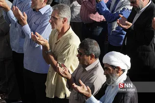 مشد
