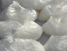 کشف ۵۰ کیلو شیشه در عملیات مشترک پلیس فارس و بوشهر