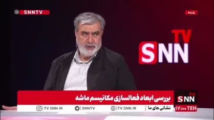 عزیزی: اتباع نهایتا 30 درصد در جنگ 12 روزه نقش داشتند / قانون ساماندهی ریزپرنده&zwnj;ها بسیار مترقی است