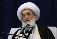 آیت‌الله نوری همدانی: فعالیت کارخانه‌ها لطمه به محیط زیست زده است