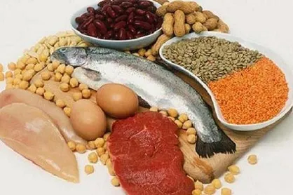 بین مصرف پروتئین و مرگ های سرطانی ارتباط وجود دارد!