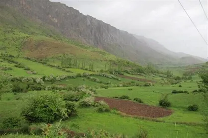 بهره&zwnj;برداری از مراتع مازندران در فصل گل&zwnj;دهی و بذردهی گیاهان ممنوع شد