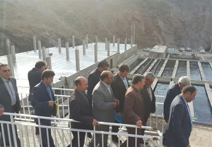 ۶۰ هزار میلیارد تومان برای حمایت از بخش تولید محصولات کشاورزی مصوب شد