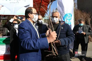 دانشگاه تهران، دانشگاه دوستدار محیط زیست