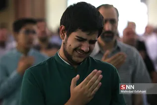 عرفه دانشگاه