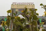 امام زاده صالح برفی