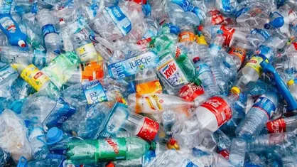 پلاستیک بازیافتی آلوده است