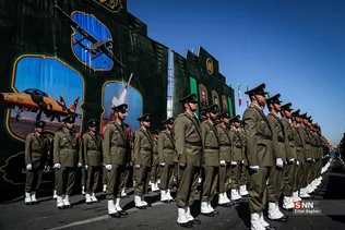دبب