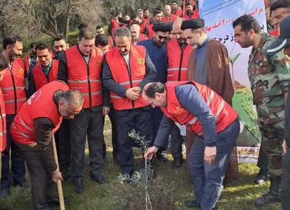 زندانیان گلستانی سالانه ۶۰ تن زیتون تولید می&zwnj;کنند / غرس ۲ هزار نهال مثمر توسط مددجویان