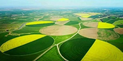 کشت و صنعت مغان به بیت المال بازگشت