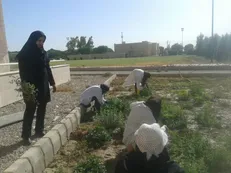 دانشگاه خاتم الانبیای بهبهان؛ پایلوت طرح ملی کارآفرینی/ «جاک» مسیر دانشگاه تا محل کار را طی می‌کند