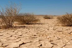 چینی‌ها در عراق به جنگ بیابان می‌روند
