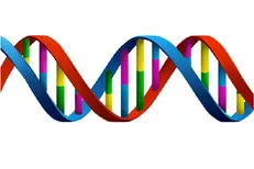 راهبردی جدید برای الگودهی نانوذرات با استفاده از قالب DNA ارائه شد