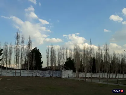 وقتی دیوارهای درختی حائل خوابگاه&zwnj;های دخترانه و پسرانه دانشگاه خوارزمی می&zwnj;شود/ جای خالی نگهبان&zwnj;ها!