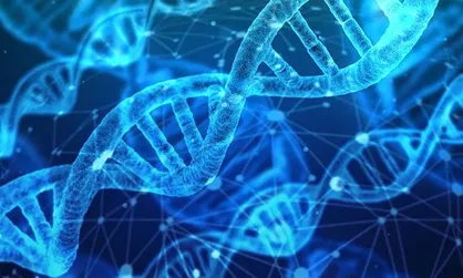 محققان با الهام از DNA قطعه&zwnj;ای برای صنعت الکترونیک ساختند