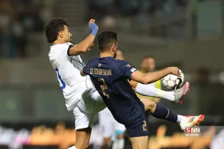دبب