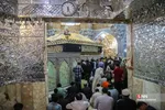 قرائت دعای عرفه در حرم مطهر حضرت فاطمه معصومه (س)