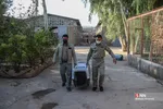 رهاسازی ۹ قطعه پرنده شکاری و آبزی در تالاب بهشت معصومه