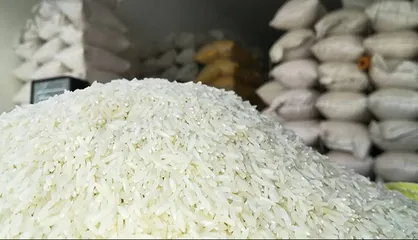 جریمه ۱۲۵ میلیارد تومانی دو شرکت متخلف در فروش برنج