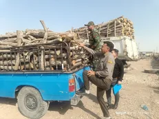 محموله حامل چوب بدون مجوز در اهواز توقیف شد
