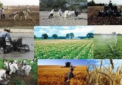 لایحه اعطای وام روستایی با بهره تک رقمی آماده تقدیم به مجلس شد