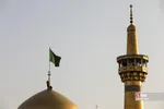 صضثضصثصض